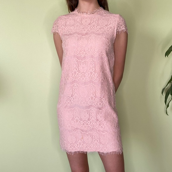 Classy Pink Vintage Lace Dress - Picture 1 of 3